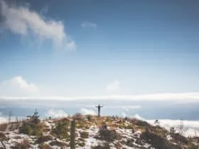 How to be an alpha male