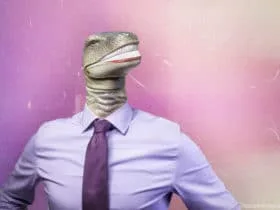 who is the beta male