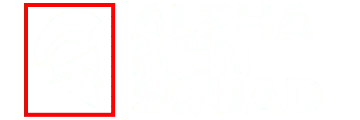 Alpha Men Squad